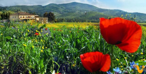 Гостиница Agriturismo La Petrosa  Черазо